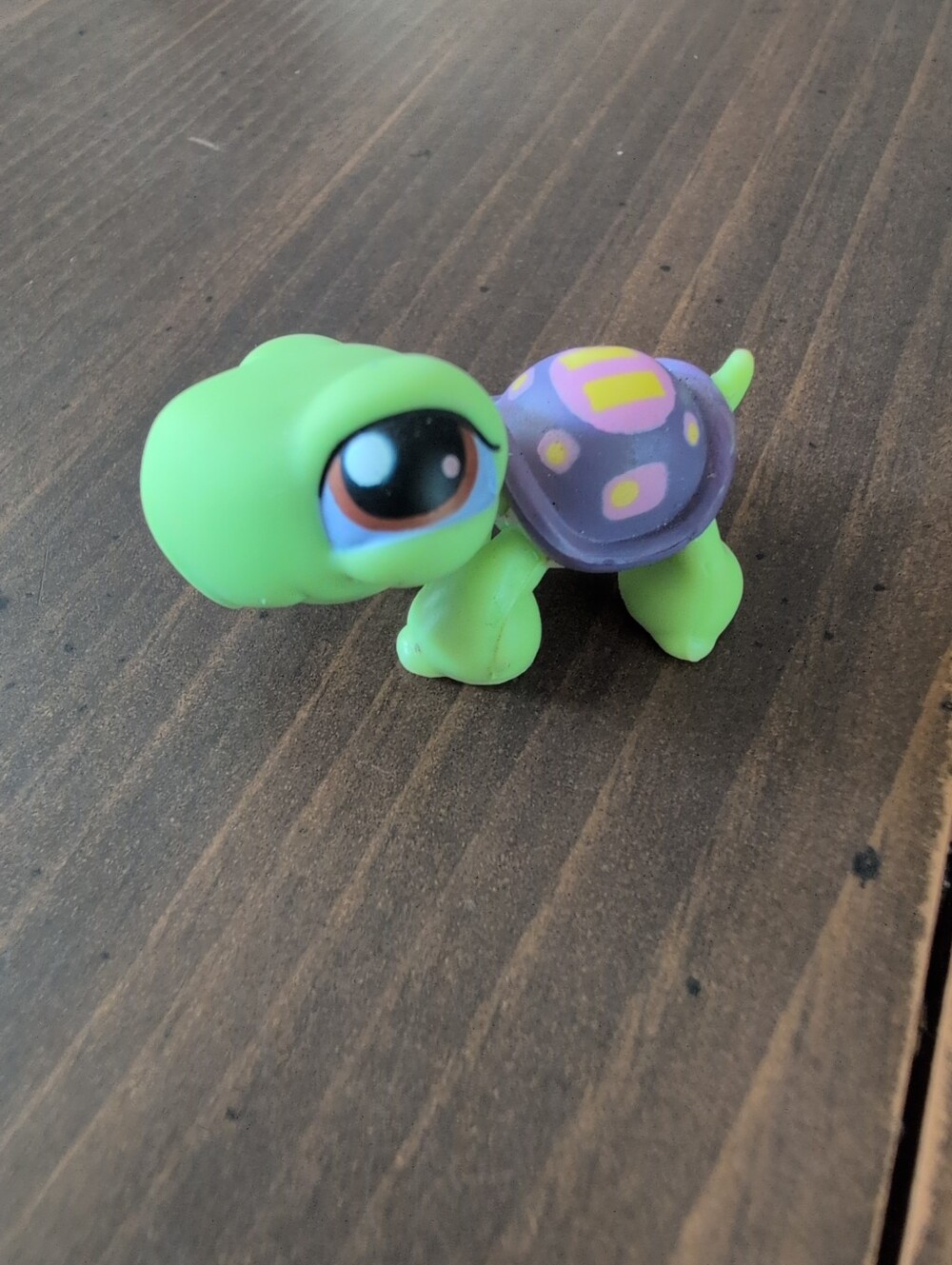 Littlest Pet Shop Turtle #302